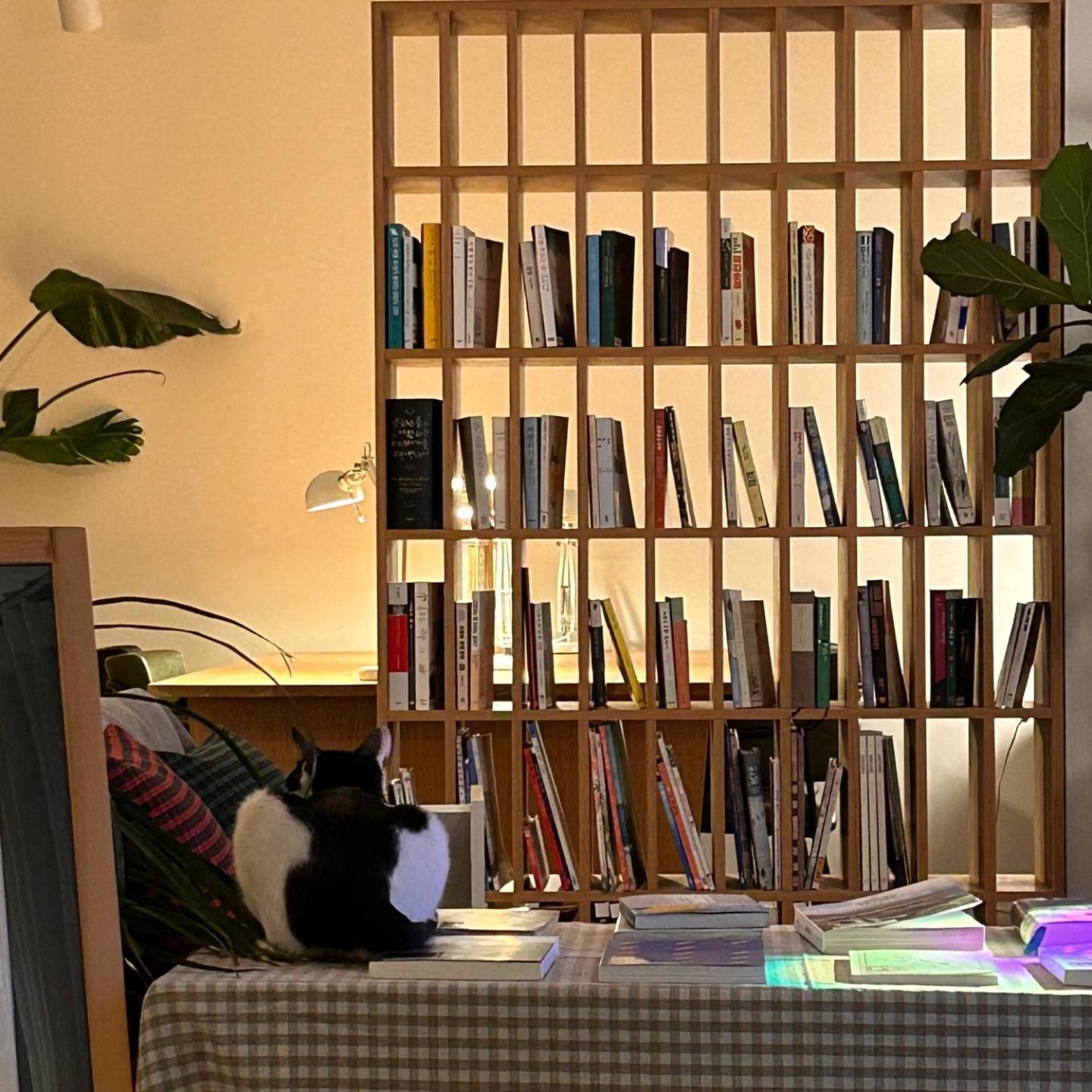 Hostel Espace Chuncheon Bagian luar foto